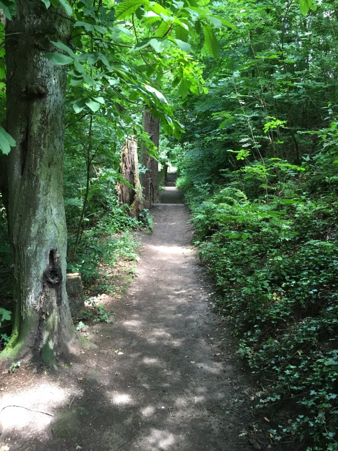 spazieren am _sportplatz32